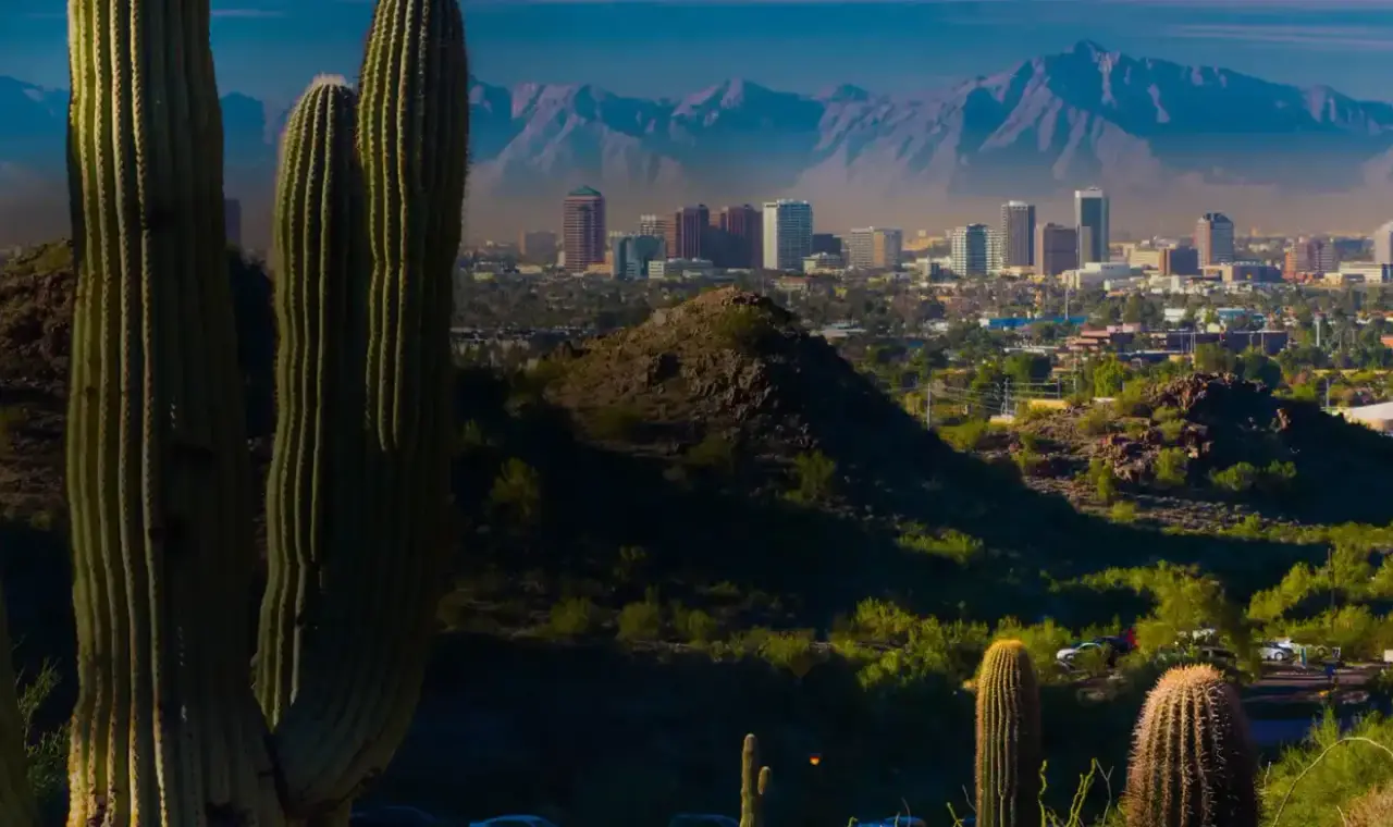Saguaro cacti overlooking the Phoenix Valley skyline and desert mountains at sunrise
