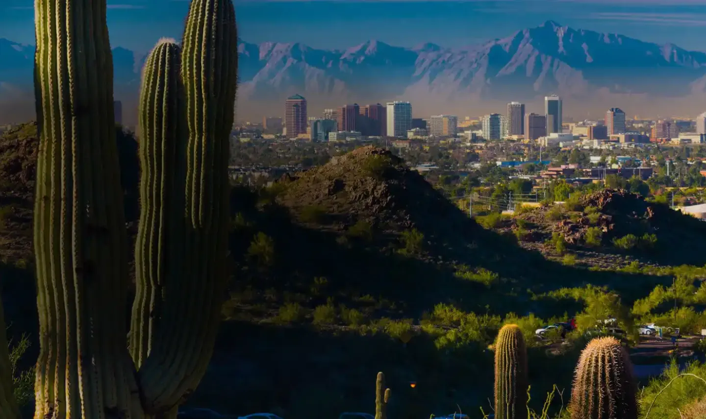 Saguaro cacti overlooking the Phoenix Valley skyline and desert mountains at sunrise